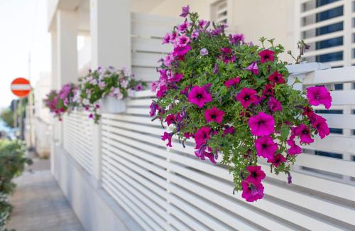 Cozze Bed & Breakfast | Dimora Nesea