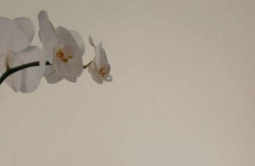 Trikala Apartment | DimSim Home- House with name