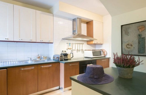 Les Iles Apartment | DISCOVER THE ILE SAINT-LOUIS, PARIS’ TREASURE ISLAND-A RARE GARDEN APARTMENT!