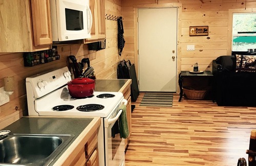 Manton Cabin | Discover the Magic of CampGarno: Your Perfect FourSeason Getaway in Northern MI!