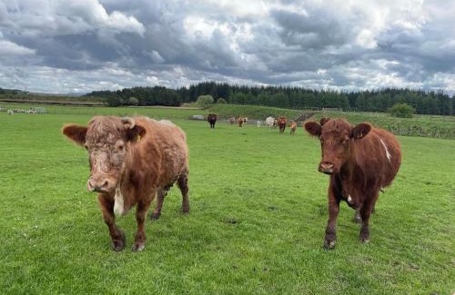 Lanark House | Distillers Cottage, Peaceful rural retreat in Lanarkshire, onsite craft distillery, hot tub, bbq hut, central for exploring Scotland