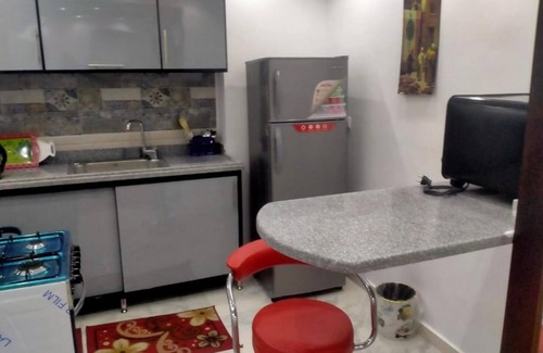 Giza Apartment | distinguish property Nile view close from every thing