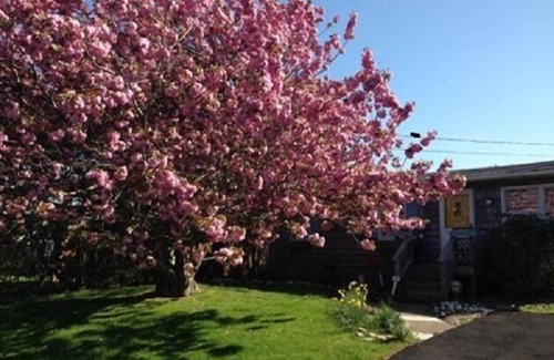 Montauk House | Ditch Plains Cottage, Montauk NY 2bedroom/1 bath short walk to Surfer's beach