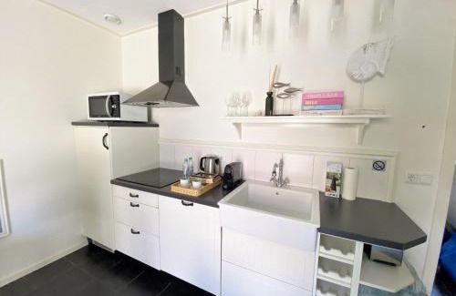 Domburg Apartment | DJP76 mooi gelijkvloers appartement met terras