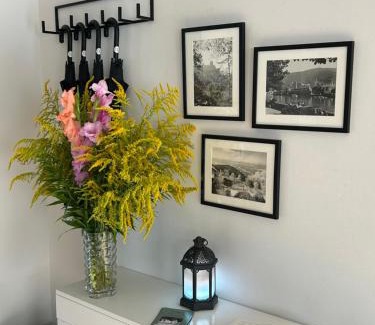 Handschuhsheim Hotel | DK Hotel Heidelberg