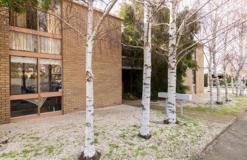 Newtown Apartment | dlux + escape@aphrasia Street near Geelong CBD