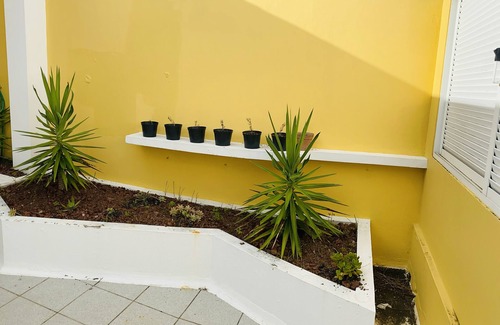 Ponta Delgada Villa | DMCharme Guesthouse, comfort in the center of Ponta Delgada