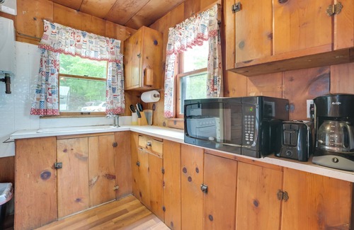 Cedarville Cabin | Dock & Beach Access: Cedarville Lakefront Cabin 9