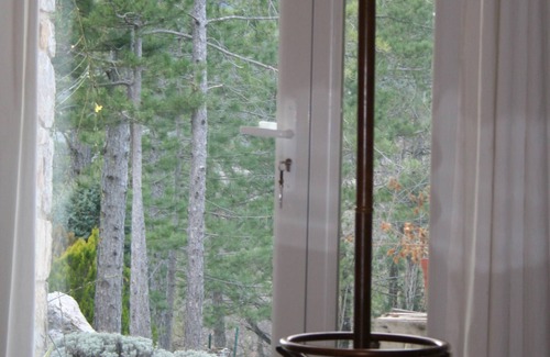 Saint-Etienne-de-Gourgas Apartment | Dog friendly woodland paradise with heated pool.