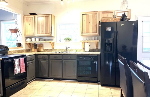 Skyland House | Dog Friendly 5/3 Close to AVL, Mtn Biking & Hiking