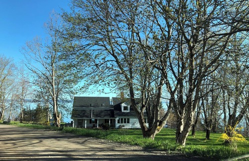 Kings County Apartment | Dog friendly apartment with full kitchen on the Bay of Fundy, Nova Scotia.