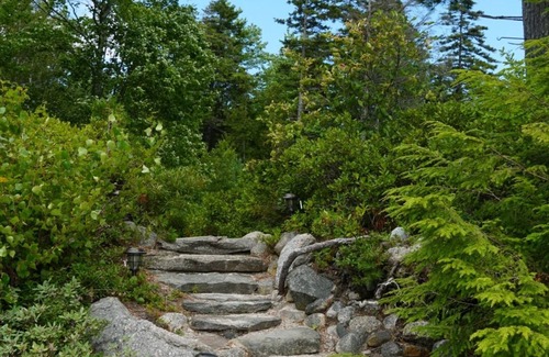 Sullivan Cabin | Dog-Friendly Autumn Retreat- Hike Relax, Repeat!