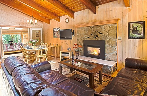 Nisqually Park Cabin | Dog friendly cabin at Mt. Rainier. Featuring WiFi, hot tub, fireplace & BBQ.