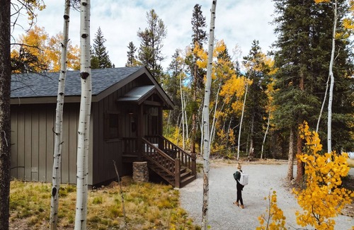 Fairplay Cabin | Dog-friendly Cabin+Hot Tub+35min to Breckenridge