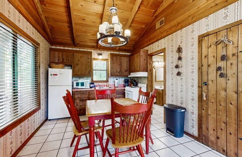 Blue Ridge Cabin | Dog-friendly cabin with private grill, full kitchen, and foosball