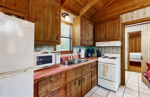 Blue Ridge Cabin | Dog-friendly cabin with private grill, full kitchen, and foosball