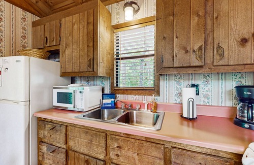 Blue Ridge Cabin | Dog-friendly cabin with private grill, full kitchen, and foosball