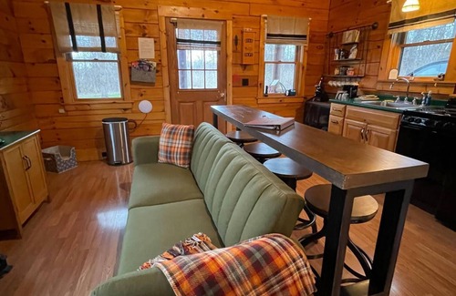 Lodi Cabin | Dog-friendly cabin with hot tub and breakfast delivered daily!