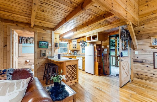 McCaysville Cabin | Dog-friendly log cabin with covered deck- close to trails & water
