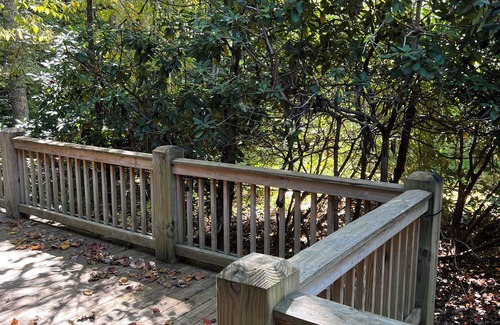 Whittier Cottage | Dog Friendly Mountain Cottage with WiFi and AC