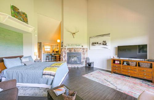 Pagosa Springs Apartment | Dog-Friendly Pagosa Springs Studio Grill and Views!