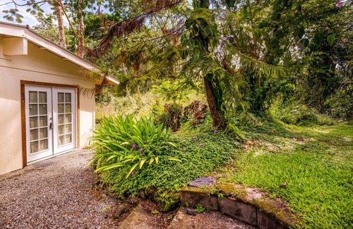 Kapoho Apartment | Dog-friendly studio escape near the beach & town with fast WiFi & kitchenette