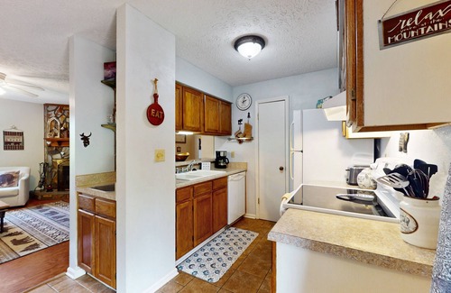 Sugar Mountain Condo | Dog friendly Sugar Mountain condo w/mountain views & stone fireplace