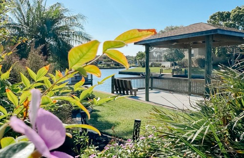 Palm Harbor House | Dog friendly summer escape: Waterfront, Game Room, Hot Tub