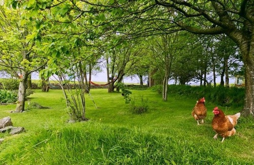 Malltraeth Apartment | Dog House - a dog that sleeps 2 guests in 1 bedroom
