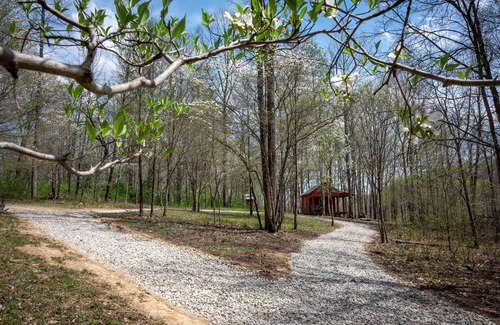 Sharpsburg Cabin | Dogwood Cabin - Off Grid