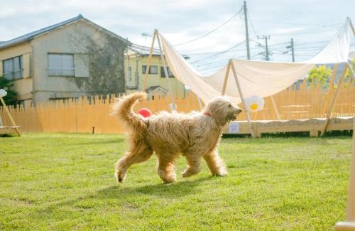 Nagawa Hotel | DokiDoggie油壺globe