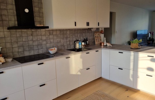 Centrum Apartment | Doktor Forselius Gata 16