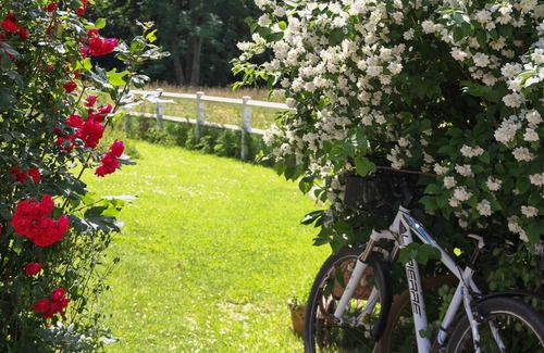 Epagne-Epagnette House | Doll's house VUE nature, wood fire, bike rental