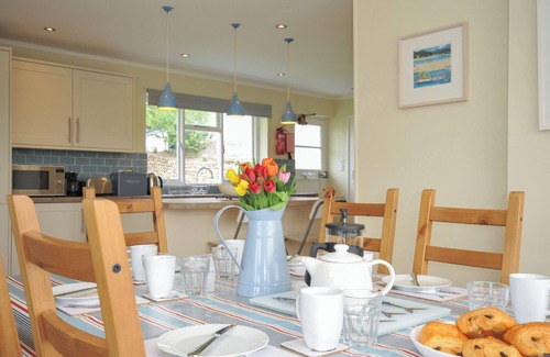 Trebetherick Cottage | Dolphins