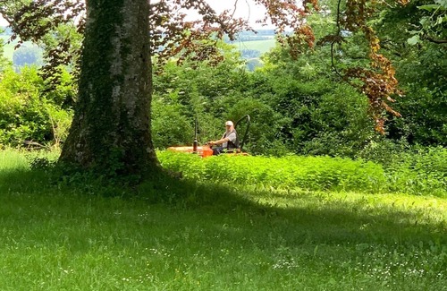 Ceton House | Domain for 30p