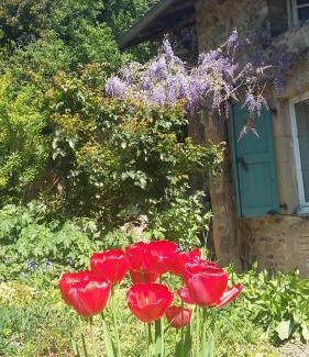 Jullie House | Domaine de la Fée-Licité