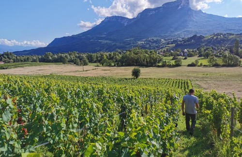 Les Marches Apartment | Domaine des Granges Longes