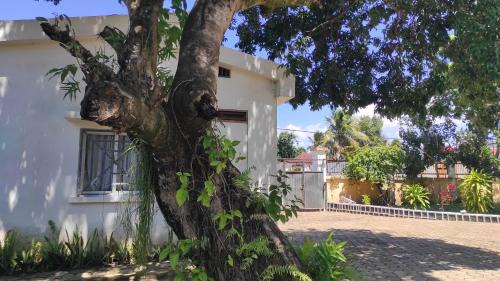 Sava House | Domaine Fahasoavana