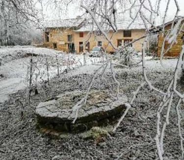 Champagnat Apartment | Domaine Moulin de Quincenat