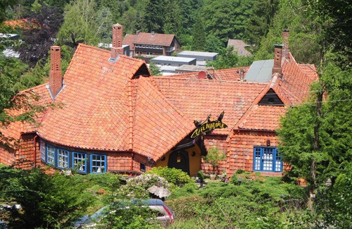Bad Harzburg House | Domino, Germany