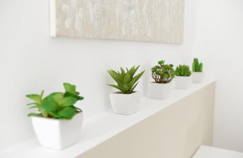 Montescaglioso Bed & Breakfast | Domus Dams B&B