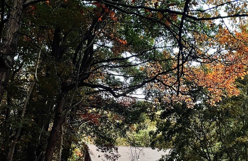 Albrightsville Cabin | Donan House - Escape To The Mountains!