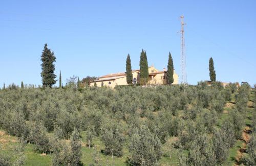 Massa Marittima House | Donzellino