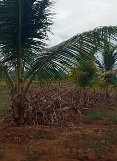 Wellawaya Other | DOP Camp Site Resort