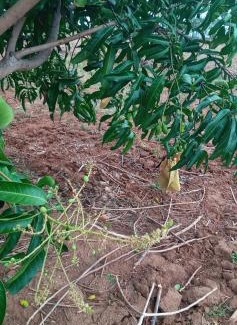 Wellawaya Other | DOP Camp Site Resort