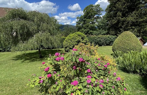 Husseren-Wesserling House | Double or Twin-King-Private Bathroom-Mountain view-gite de france