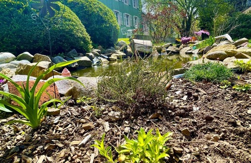 Husseren-Wesserling House | Double room-Superior-Mobility bath-Mountain view-gite de France