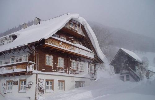 Schildlehen Apartment | Double room with shower, WC - Zeiserhof