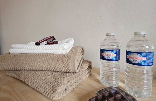 Klein-Antwerpen Apartment | Double Room