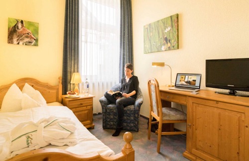Bad Harzburg Hotel | Double Room - Hotel Winterberg